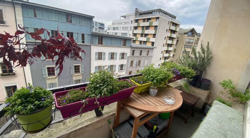 Apartment 3.5 rooms in Eaux-Vives (7)