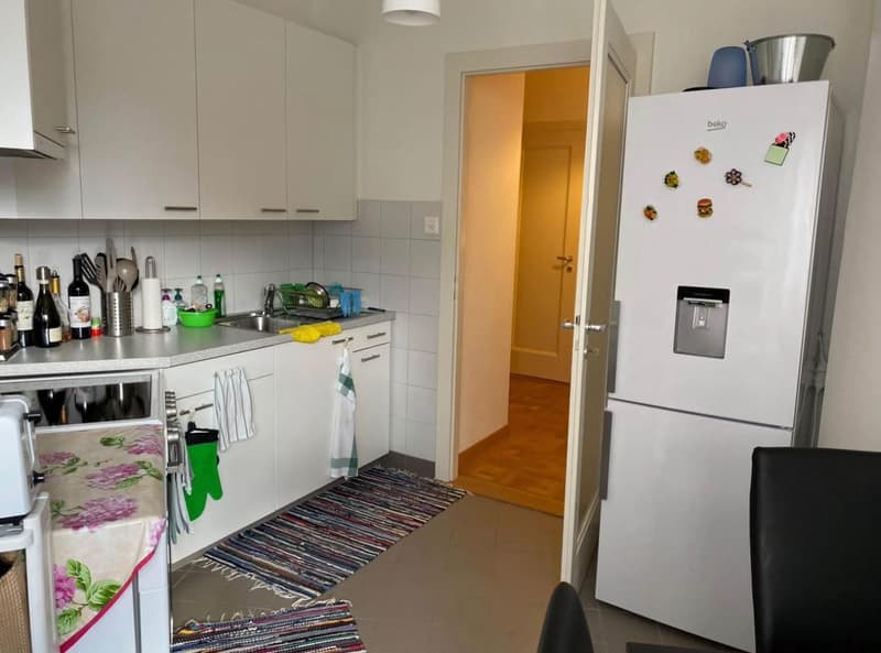 Apartment 3.5 rooms in Eaux-Vives (4)