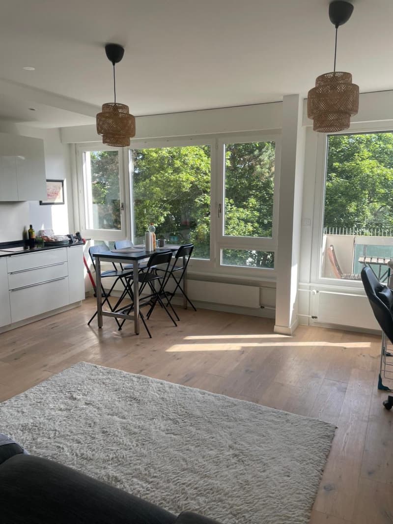 Beautiful 3-room apartment (1)