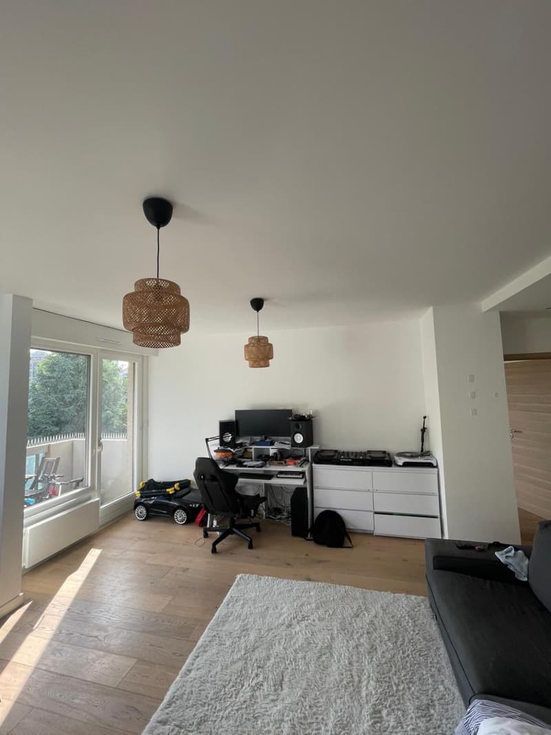 Beautiful 3-room apartment (2)