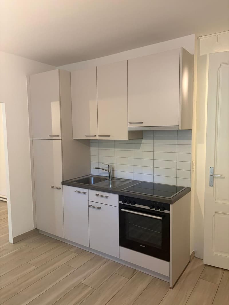 ESCLUSIVITÀ-OFF-MARKET appartamento 3 locali (2)