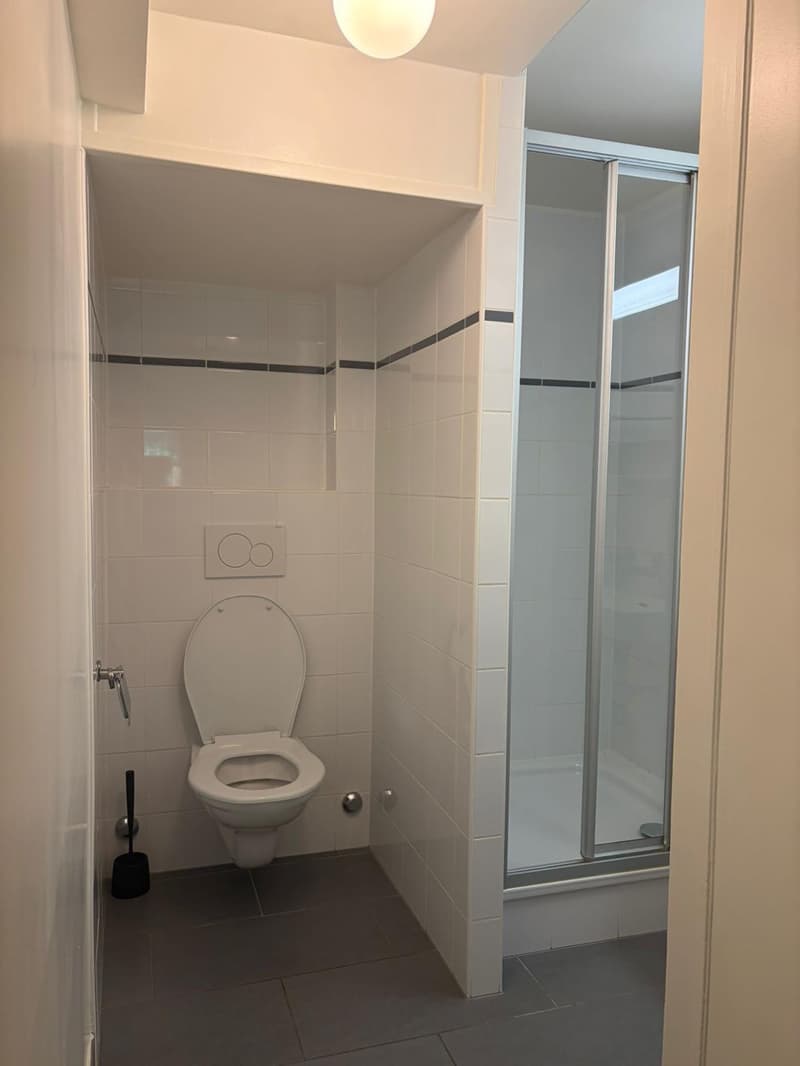 ESCLUSIVITÀ-OFF-MARKET appartamento 3 locali (5)