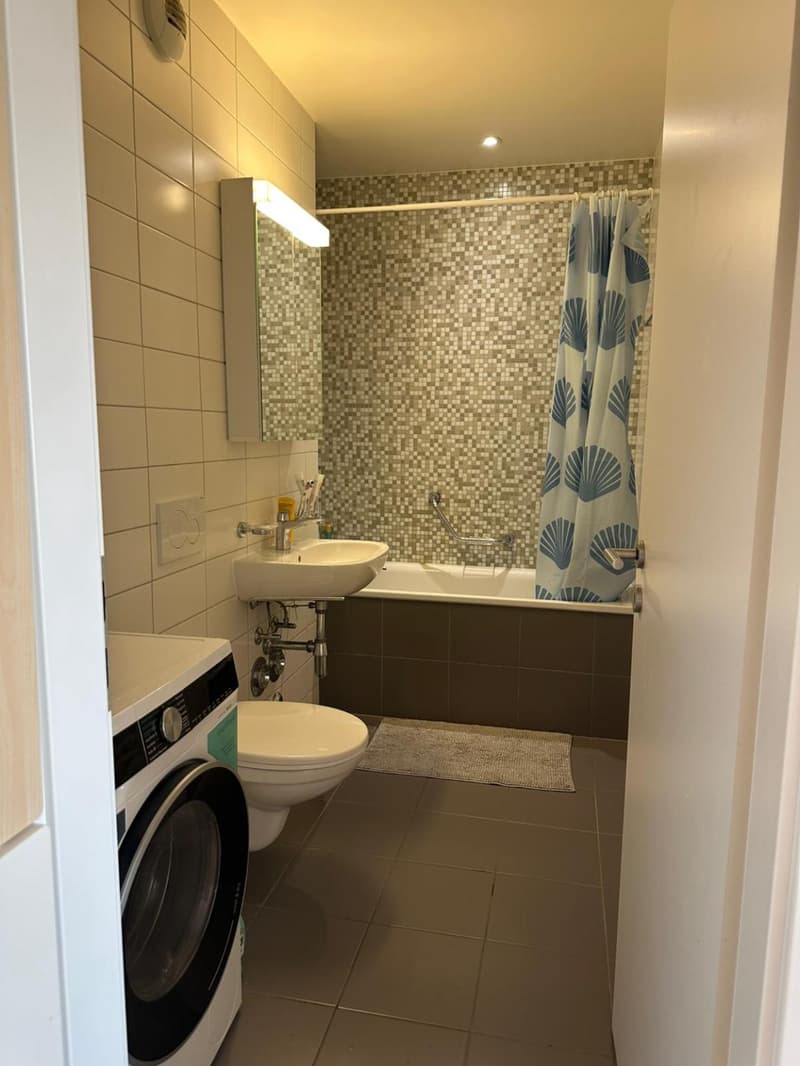 Appartamento di due locali a Champel con vista sul getto d'acqua (6)