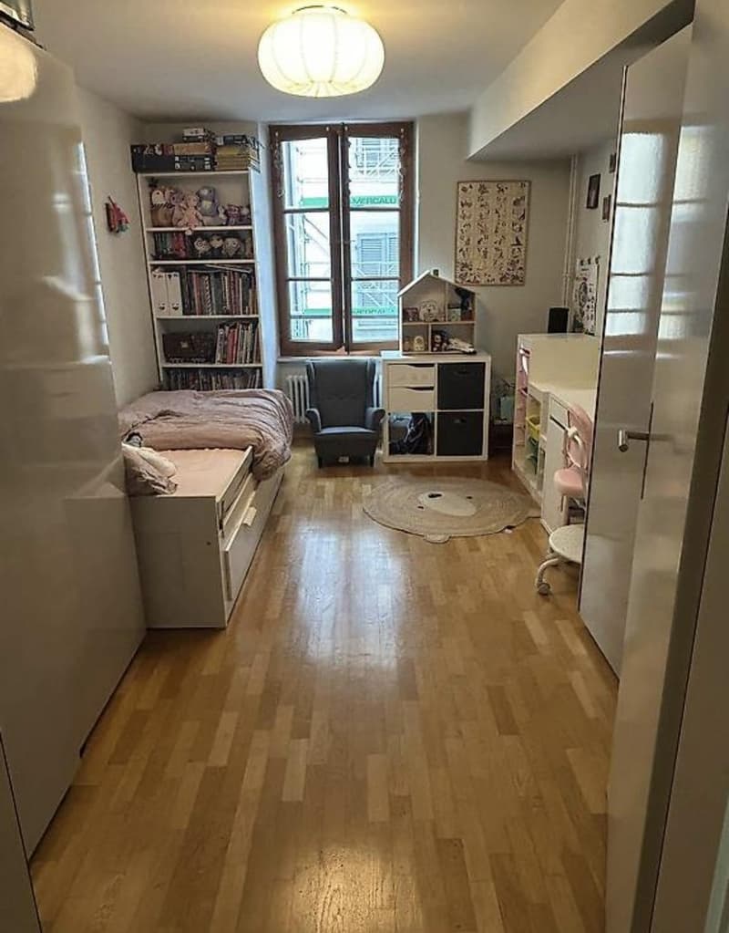 Bel appartement 4 pièces à proximité du Quai des Bergues (5)
