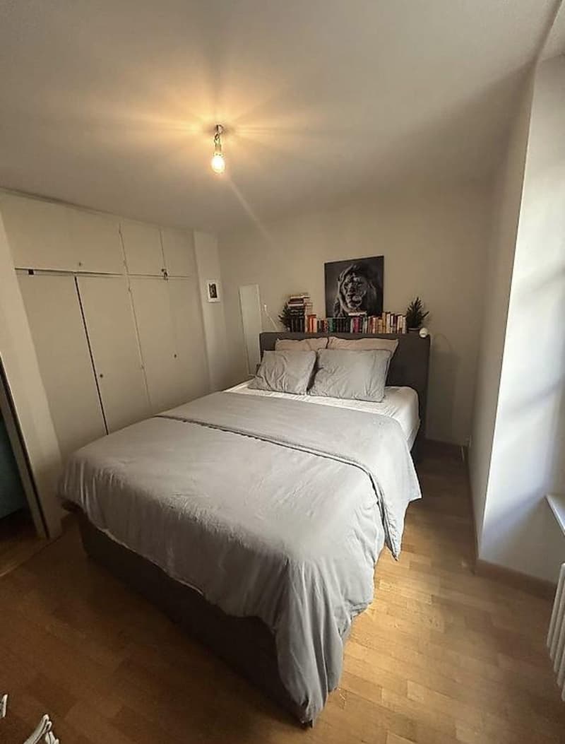 Bel appartement 4 pièces à proximité du Quai des Bergues (4)