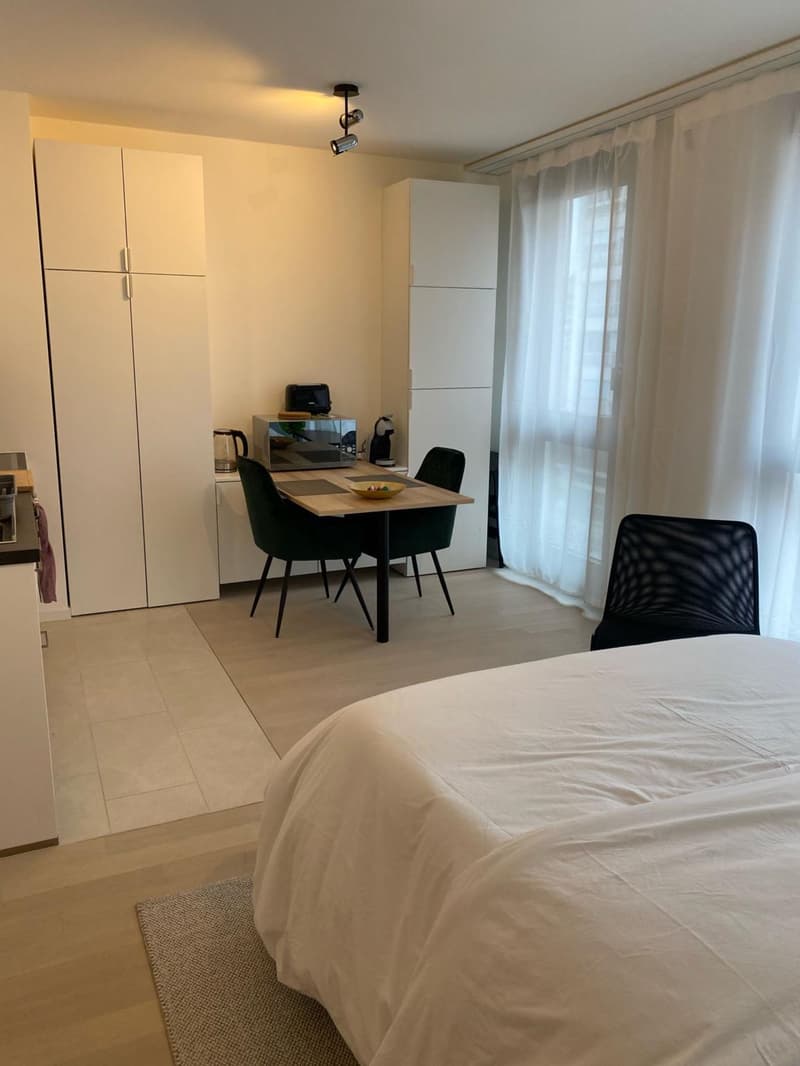 Charmant Studio meublé avec à la Servette (4)