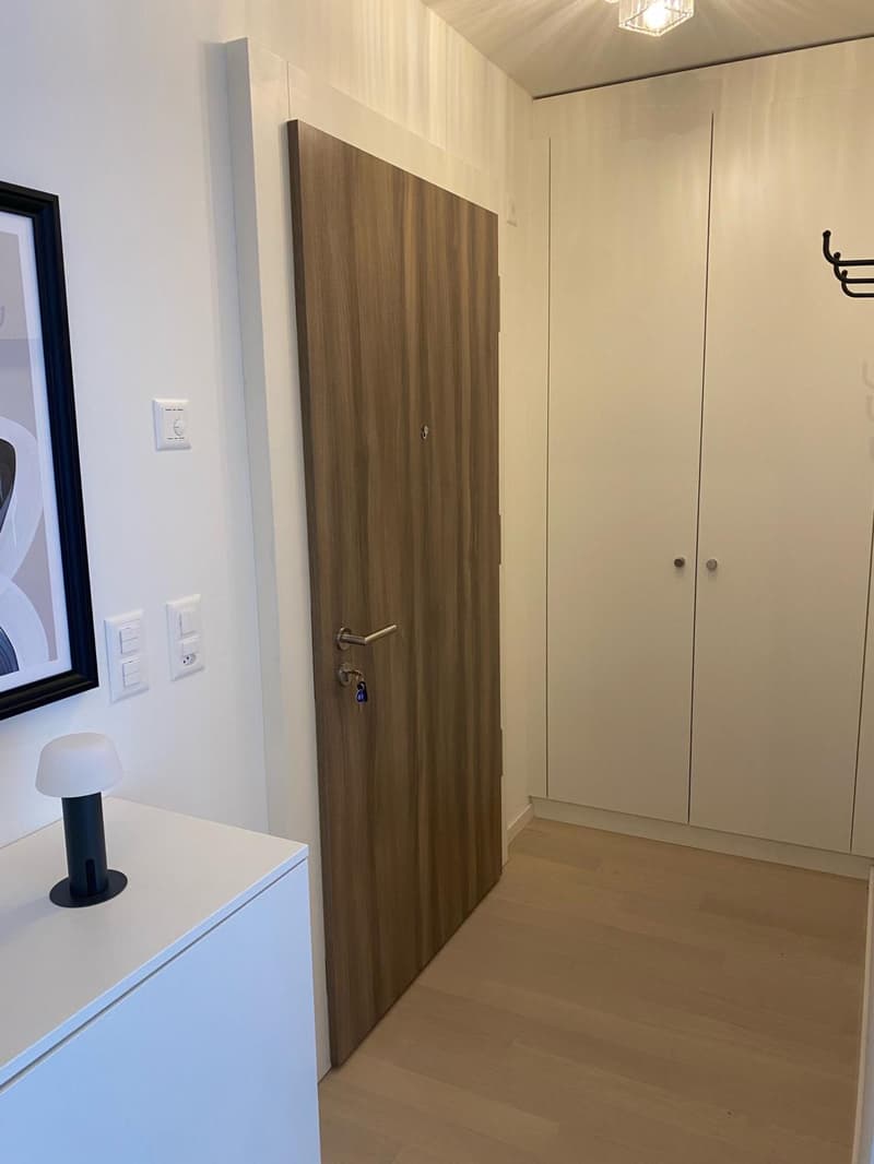 Charmant Studio meublé avec à la Servette (2)