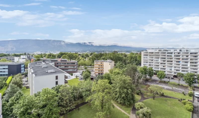 Large 6-room duplex with panoramic view in Onex (6)