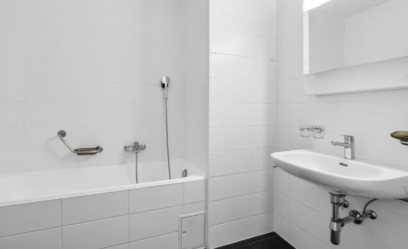 Large 6-room duplex with panoramic view in Onex (10)