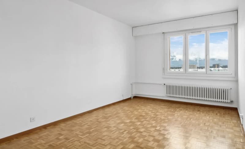 Large 6-room duplex with panoramic view in Onex (9)