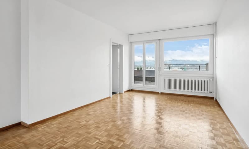 Large 6-room duplex with panoramic view in Onex (7)