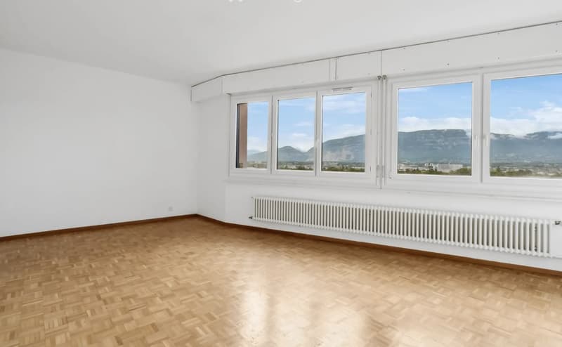 Large 6-room duplex with panoramic view in Onex (3)