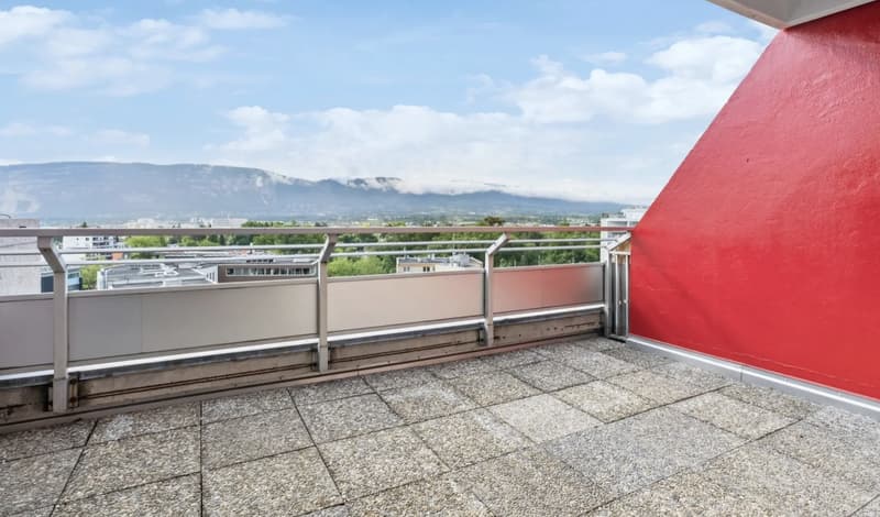 Large 6-room duplex with panoramic view in Onex (5)