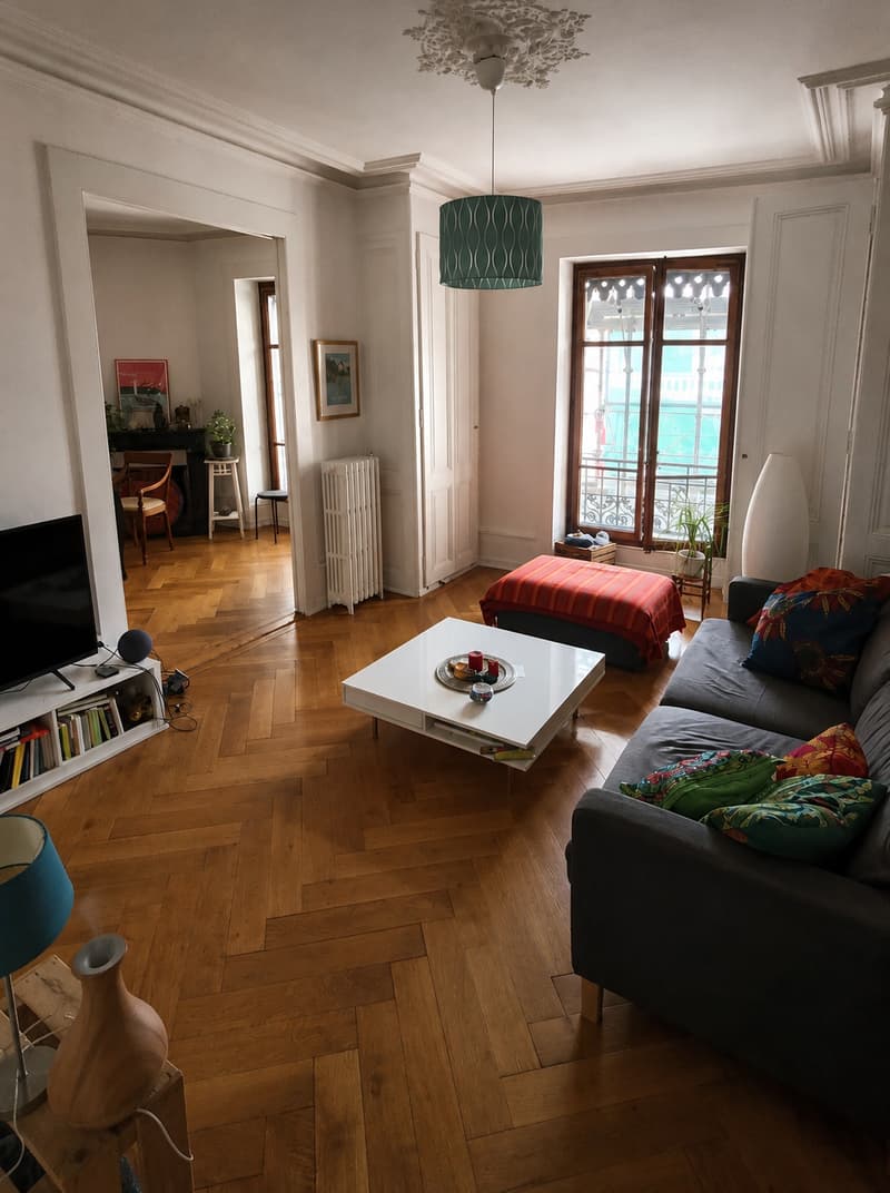 Plainpalais, vista sulla Vecchia Città - 4,5 locali d'eccezione (1)