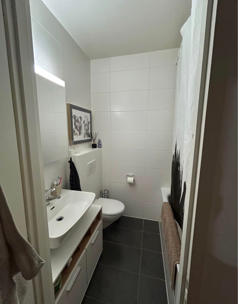 Prächtige 4-Zimmer-Wohnung mit Balkon und Parkplatz (7)