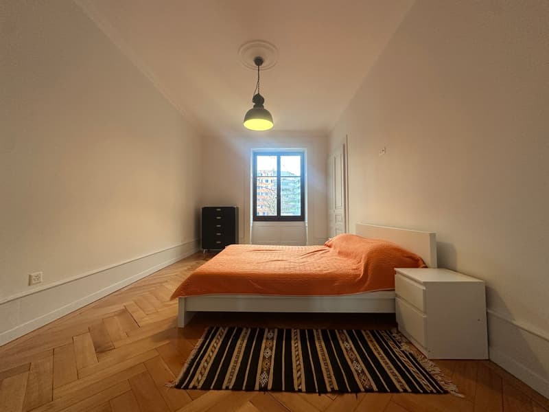 Appartamento luminoso di 5.5 locali in affitto – Rue de Lausanne, Ginevra (6)
