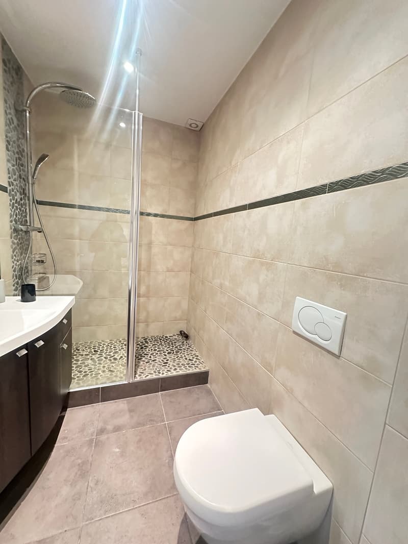 Appartamento luminoso di 5.5 locali in affitto – Rue de Lausanne, Ginevra (9)