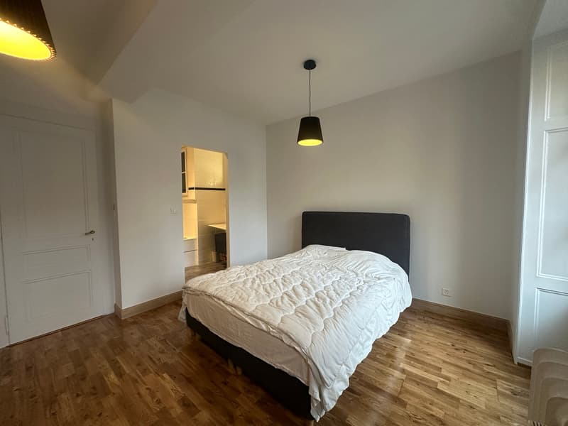 Appartamento luminoso di 5.5 locali in affitto – Rue de Lausanne, Ginevra (5)