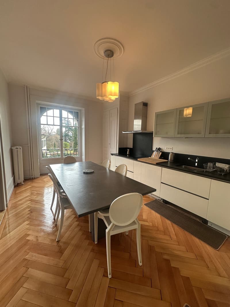Appartamento luminoso di 5.5 locali in affitto – Rue de Lausanne, Ginevra (4)