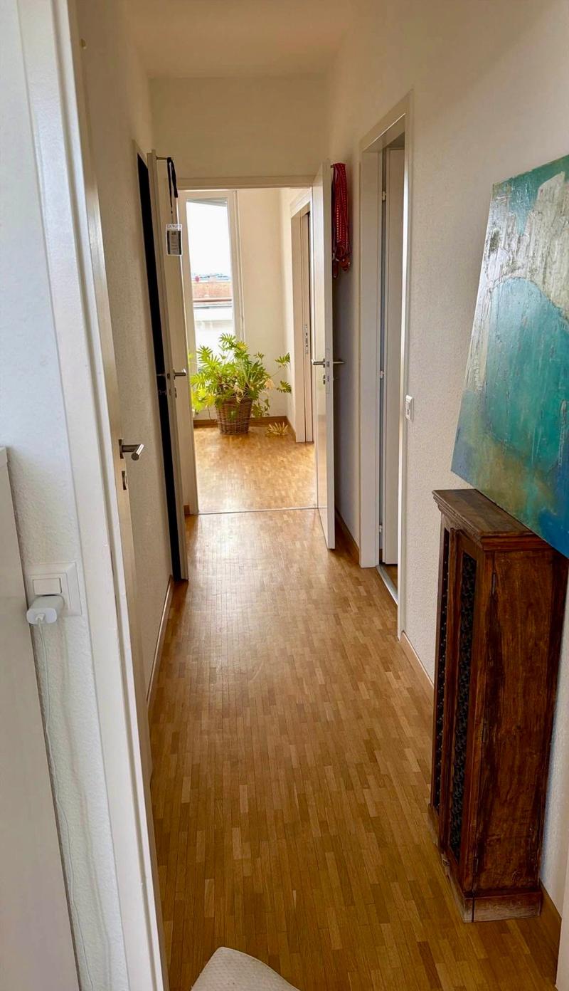 Appartement en attique avec deux terrasses - Plainpalais (3)
