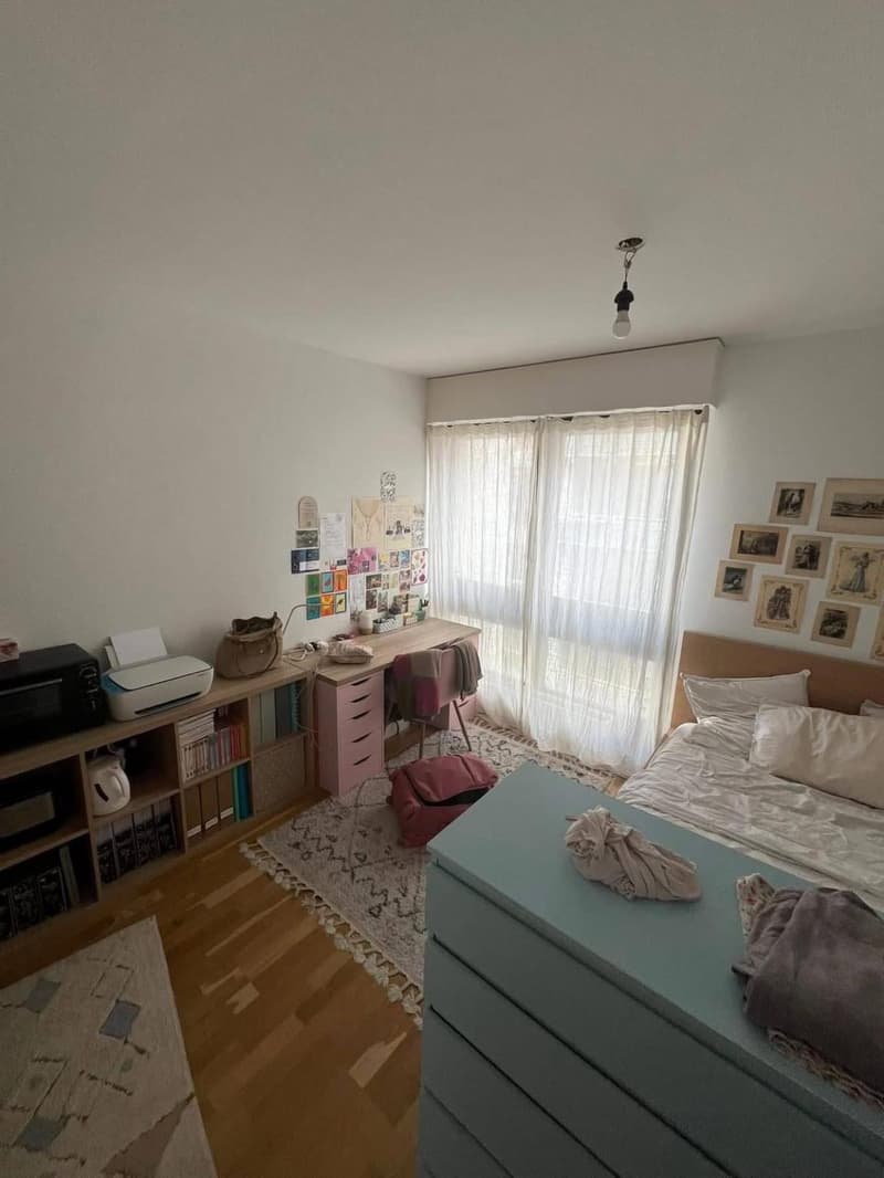 Bell'appartamento di 1,5 locali vicino al lago (6)