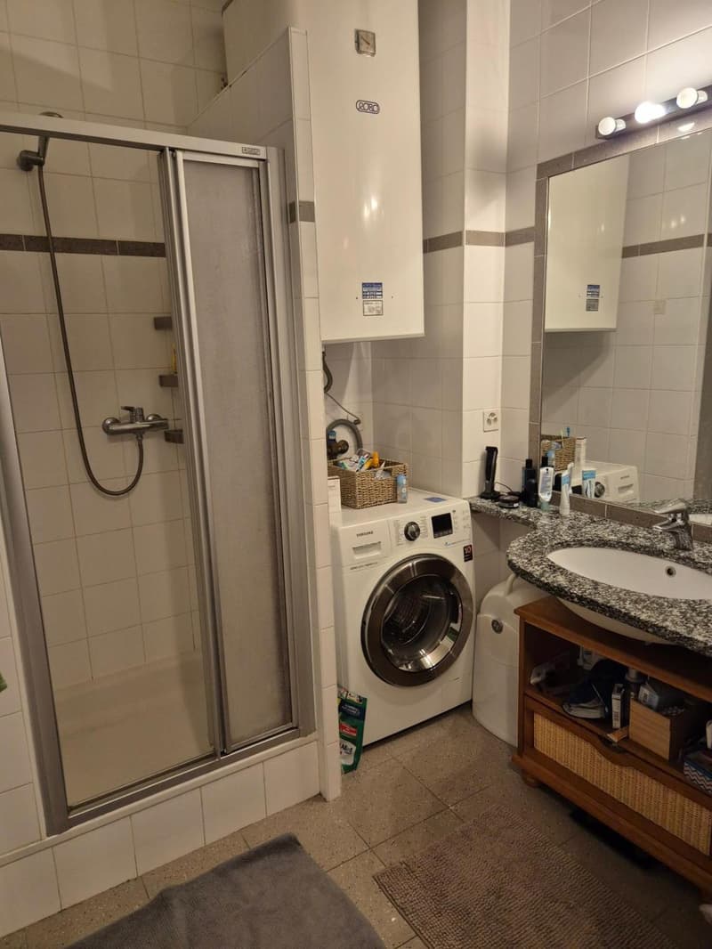 Wohnung 3 Zimmer mit Balkon - Genf Zentrum (4)