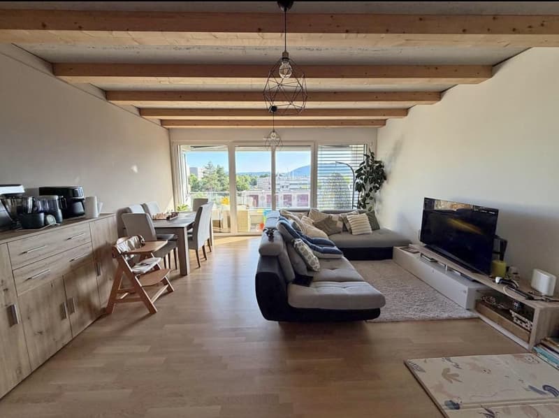 Appartement 3,5 pièces récent à Meyrin (2)