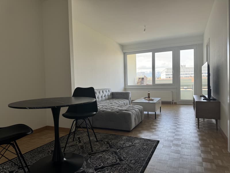 Großes 3,5-Zimmer-Apartment a1 Carouge (1)