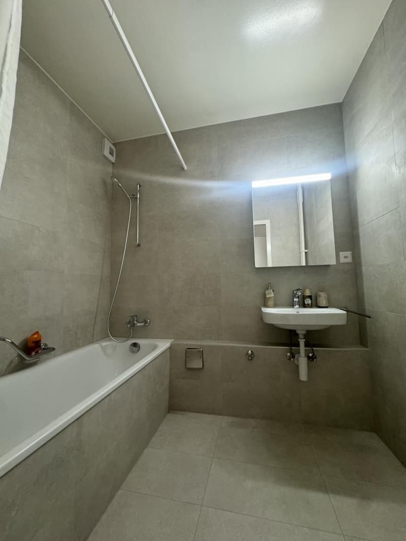 Großes 3,5-Zimmer-Apartment a1 Carouge (7)