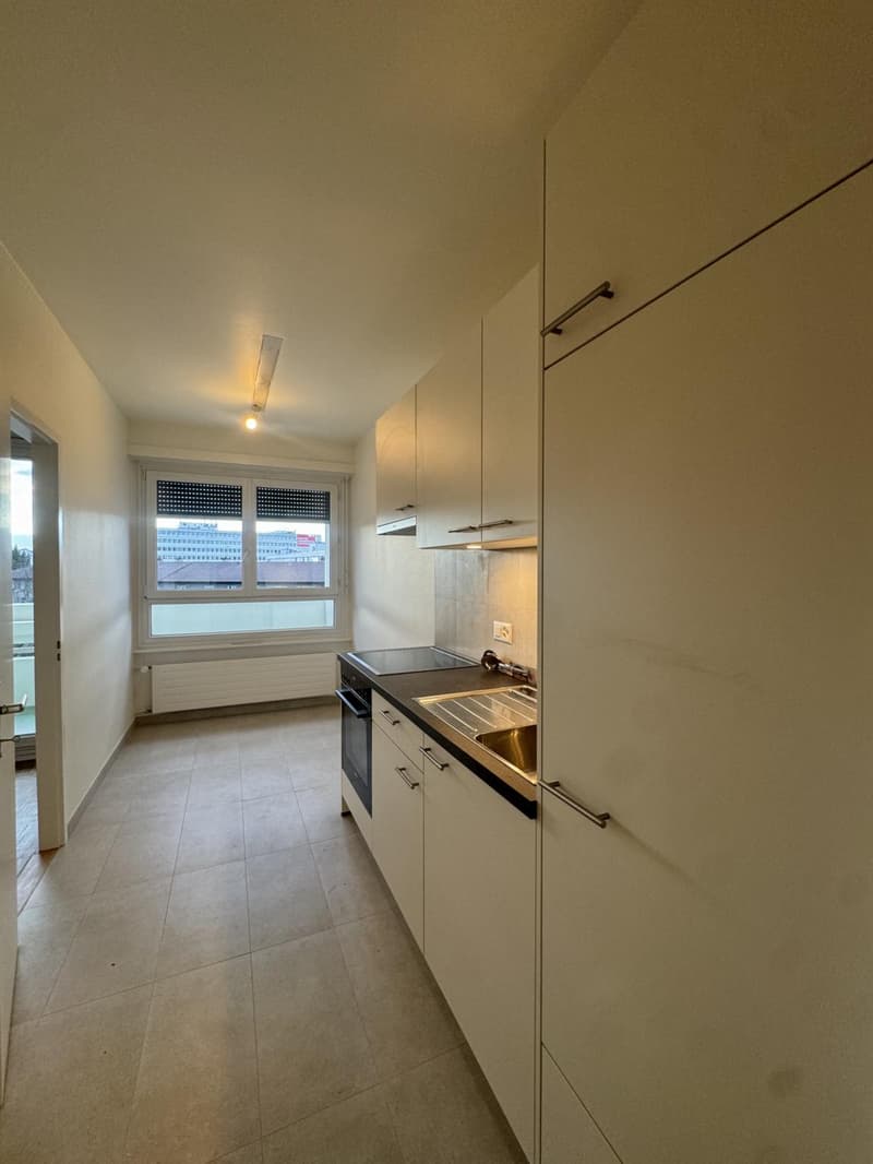 Großes 3,5-Zimmer-Apartment a1 Carouge (3)