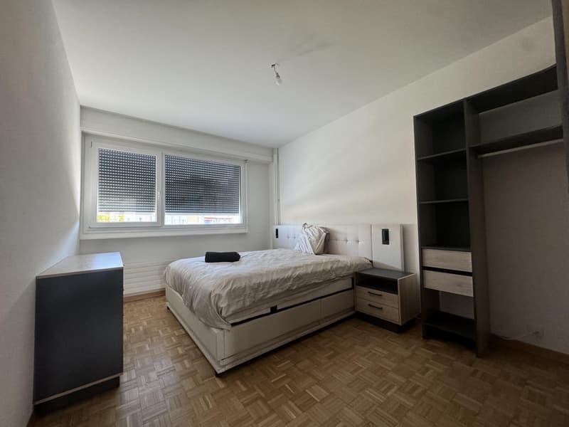 Großes 3,5-Zimmer-Apartment a1 Carouge (8)