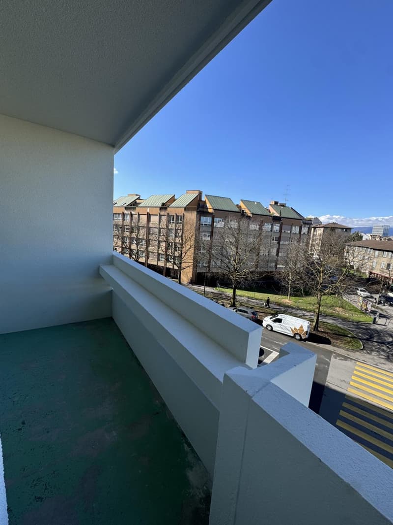 Großes 3,5-Zimmer-Apartment a1 Carouge (6)