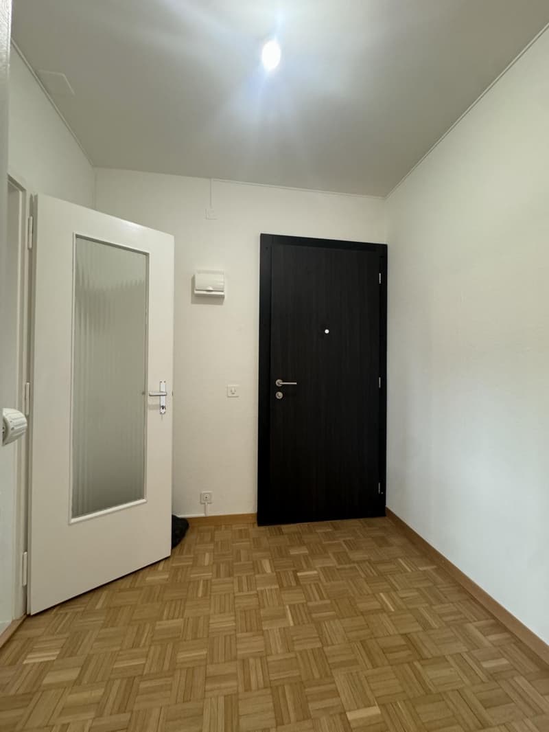 Großes 3,5-Zimmer-Apartment a1 Carouge (5)