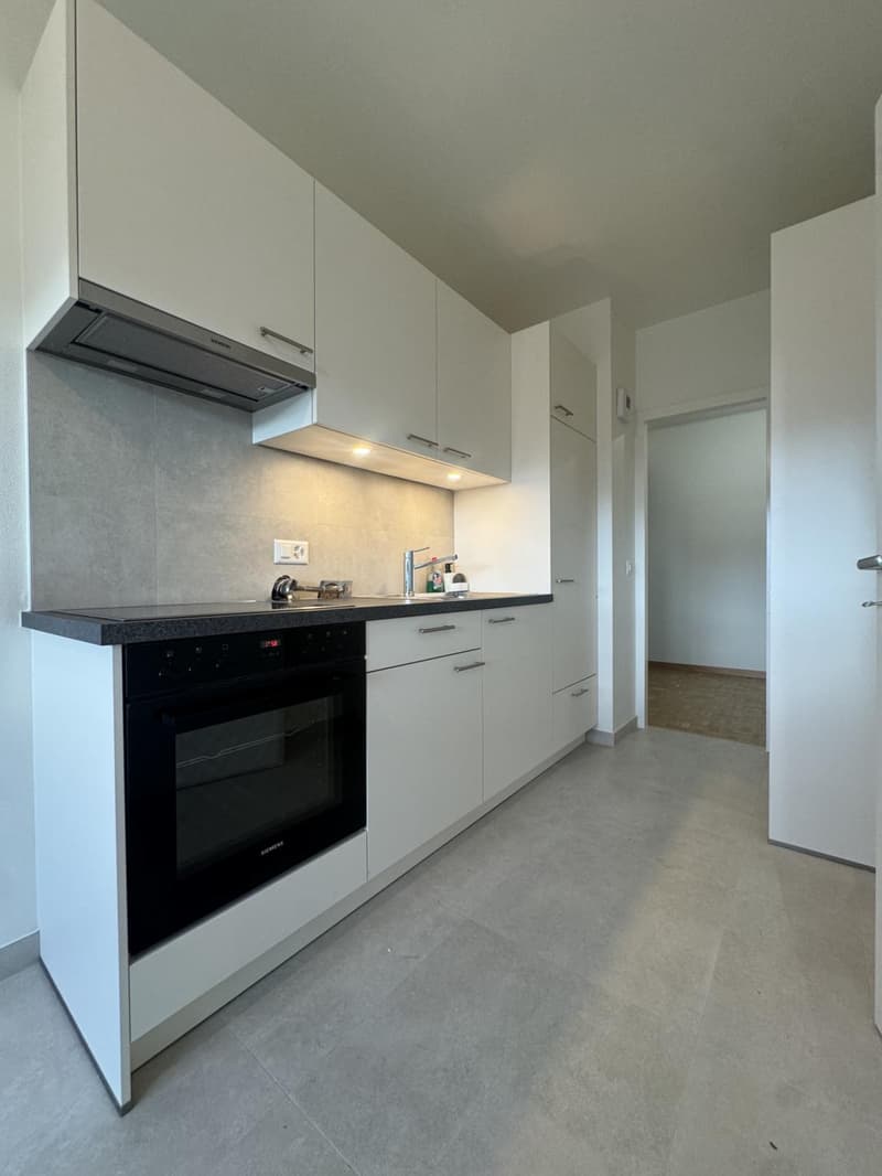 Großes 3,5-Zimmer-Apartment a1 Carouge (4)
