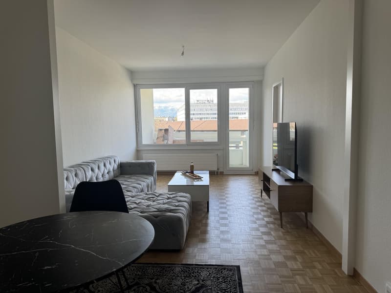 Großes 3,5-Zimmer-Apartment a1 Carouge (2)