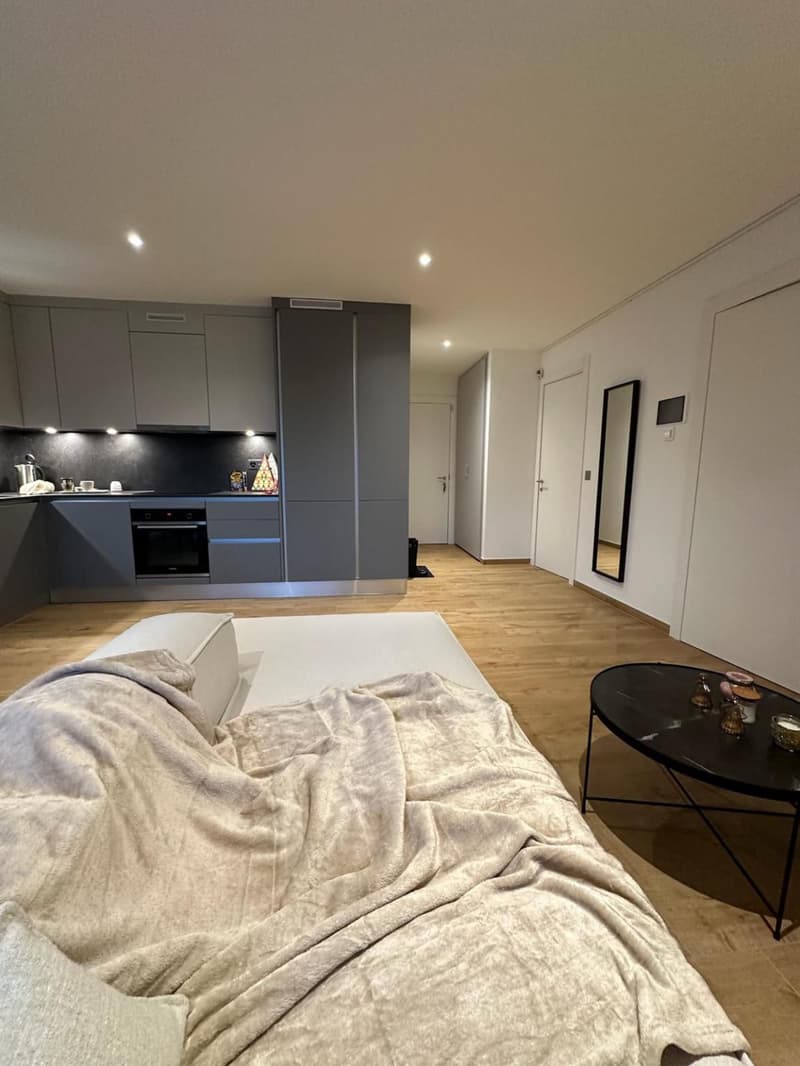 2,5 pièces Haut de Gamme avec garage sous sol et terrasse - Cologny (6)
