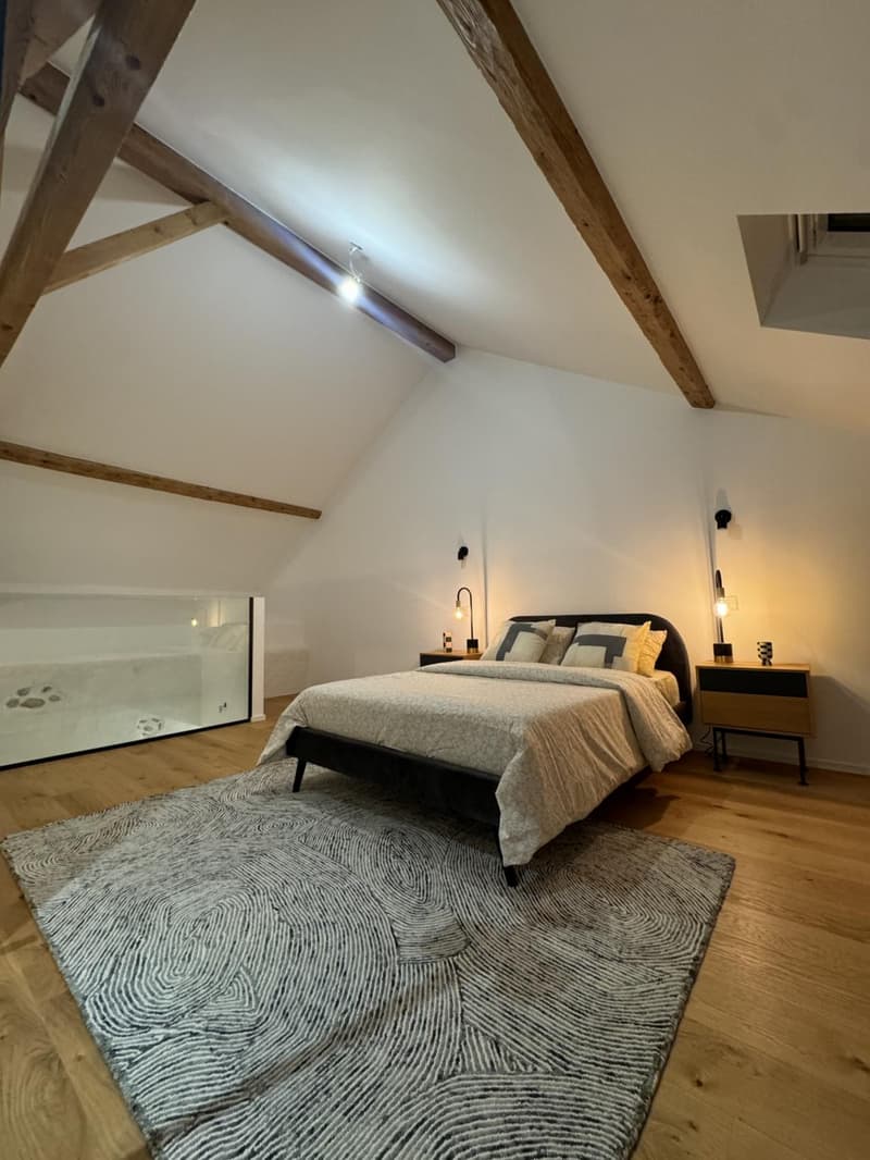 Maison triplex d'exception - entièrement rénové (5)