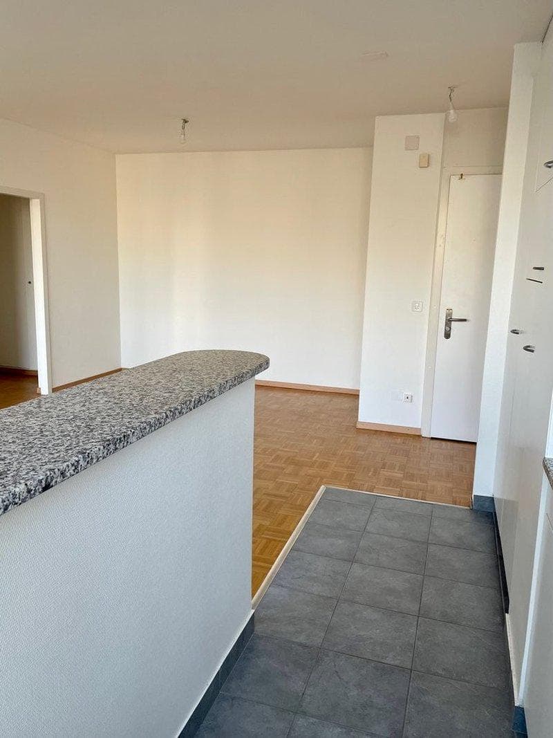 Zweieinhalb-Zimmer-Wohnung in Vernier (3)