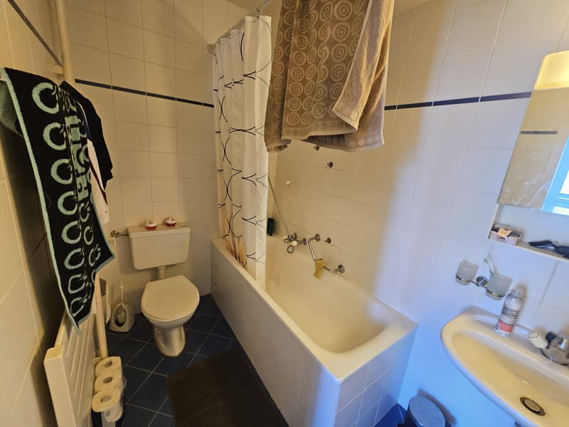 Charmant appartement 3,5 pièces au coeur de Genève (10)