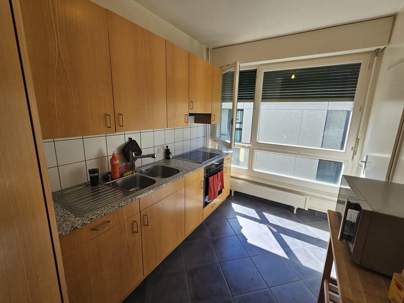 Charmant appartement 3,5 pièces au coeur de Genève (4)