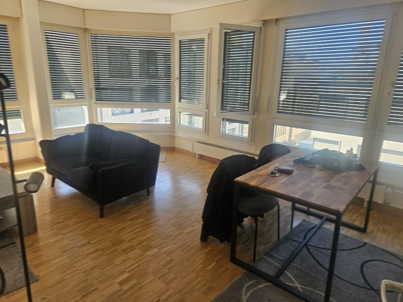 Charmant appartement 3,5 pièces au coeur de Genève (3)