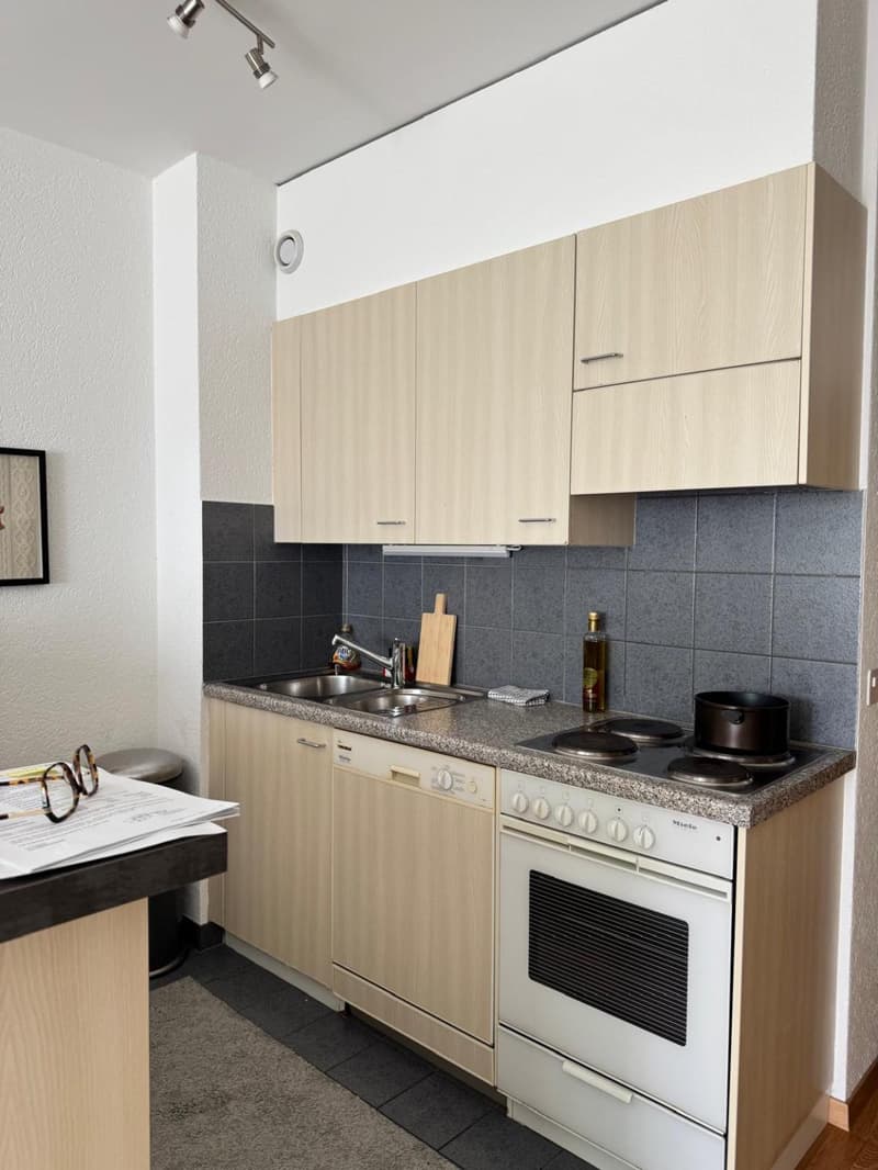 EXCLUSIVITY - Large 1.5 rooms in Eaux-Vives (3)