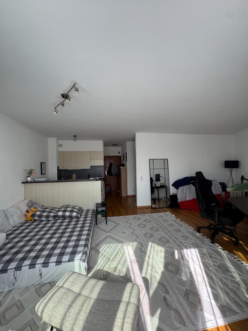 EXCLUSIVITY - Large 1.5 rooms in Eaux-Vives (2)