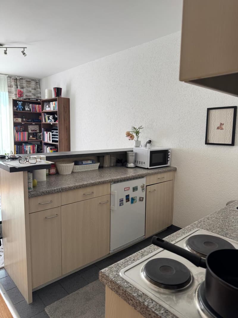 EXCLUSIVITY - Large 1.5 rooms in Eaux-Vives (4)