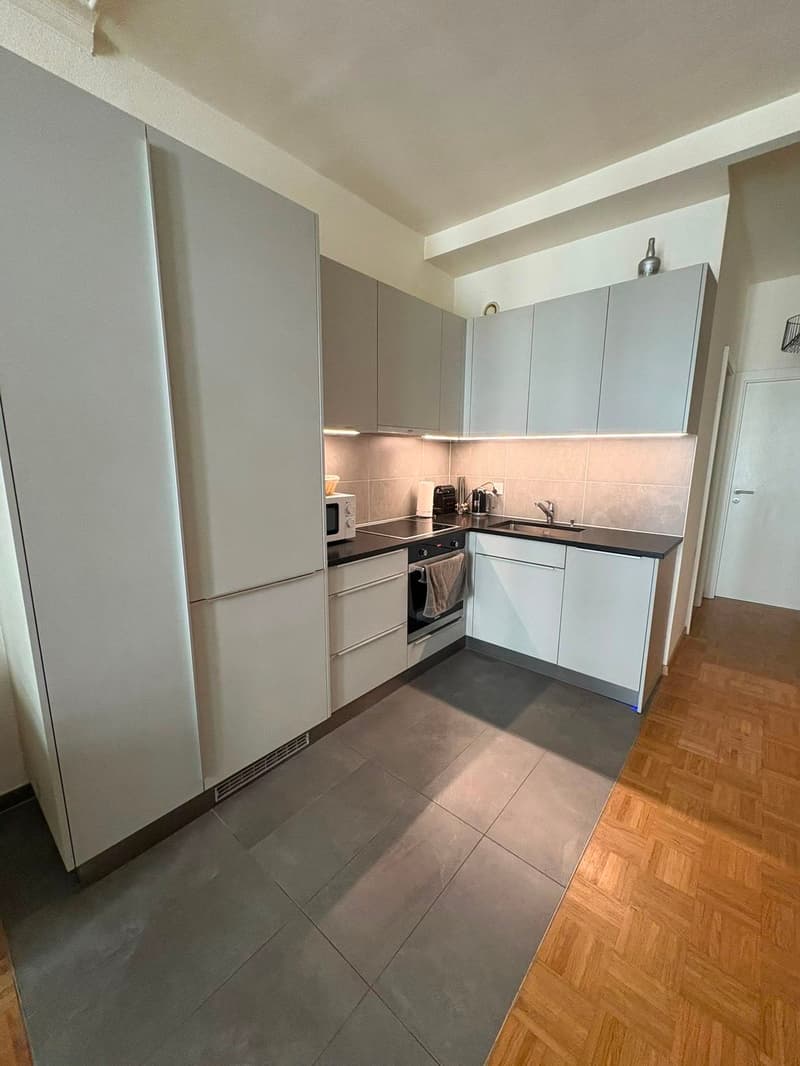 Magnifique Appartement de 4 pièces avec balcon - Quartier Servette, Genève (2)