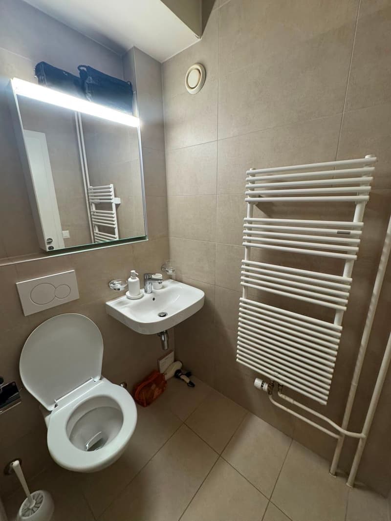 Magnifique Appartement de 4 pièces avec balcon - Quartier Servette, Genève (4)