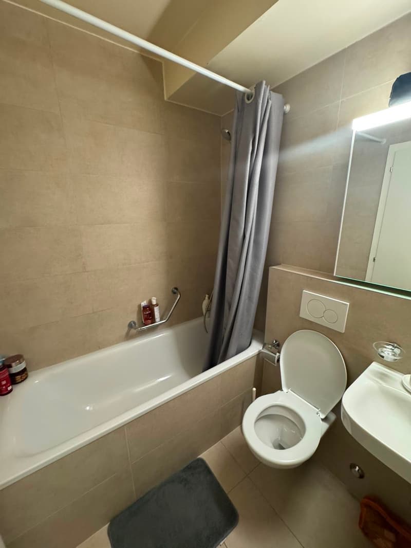 Magnifique Appartement de 4 pièces avec balcon - Quartier Servette, Genève (5)