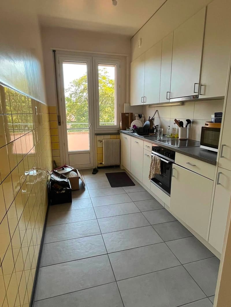 Helles 4.5-Zimmer-Apartment mit Balkon im Herzen von Genf (4)