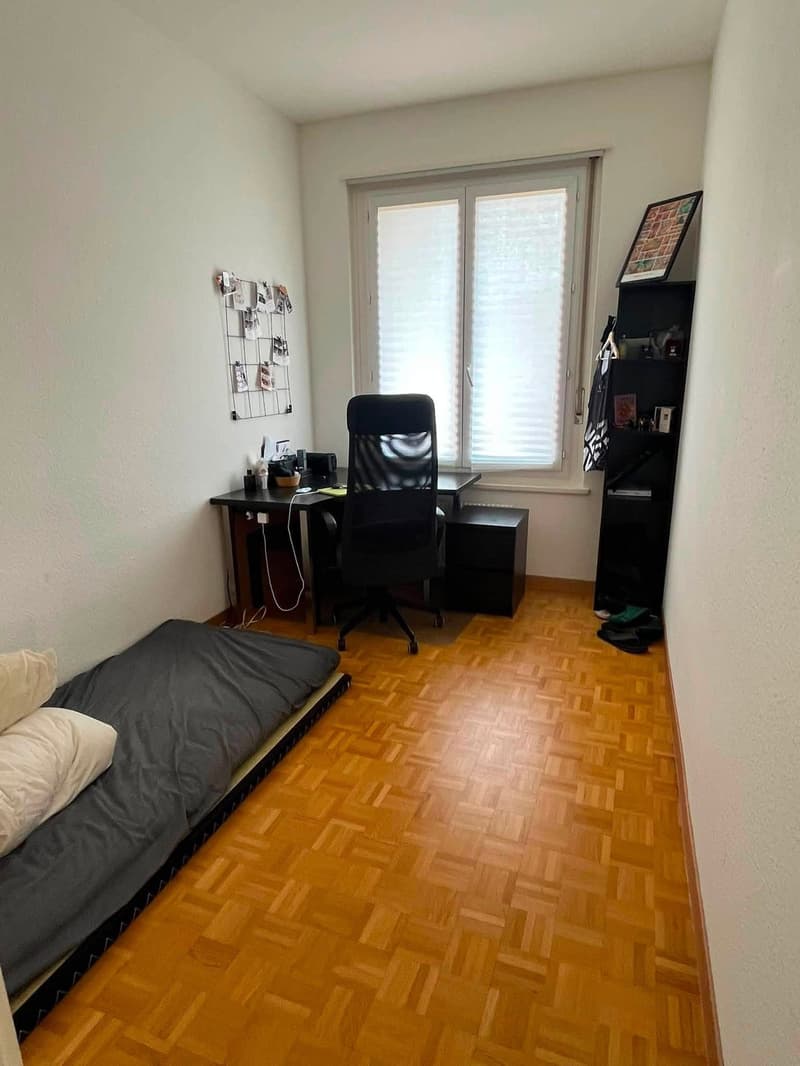 Helles 4.5-Zimmer-Apartment mit Balkon im Herzen von Genf (3)