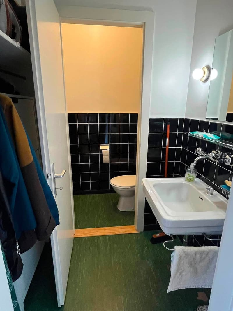 Helles 4.5-Zimmer-Apartment mit Balkon im Herzen von Genf (5)